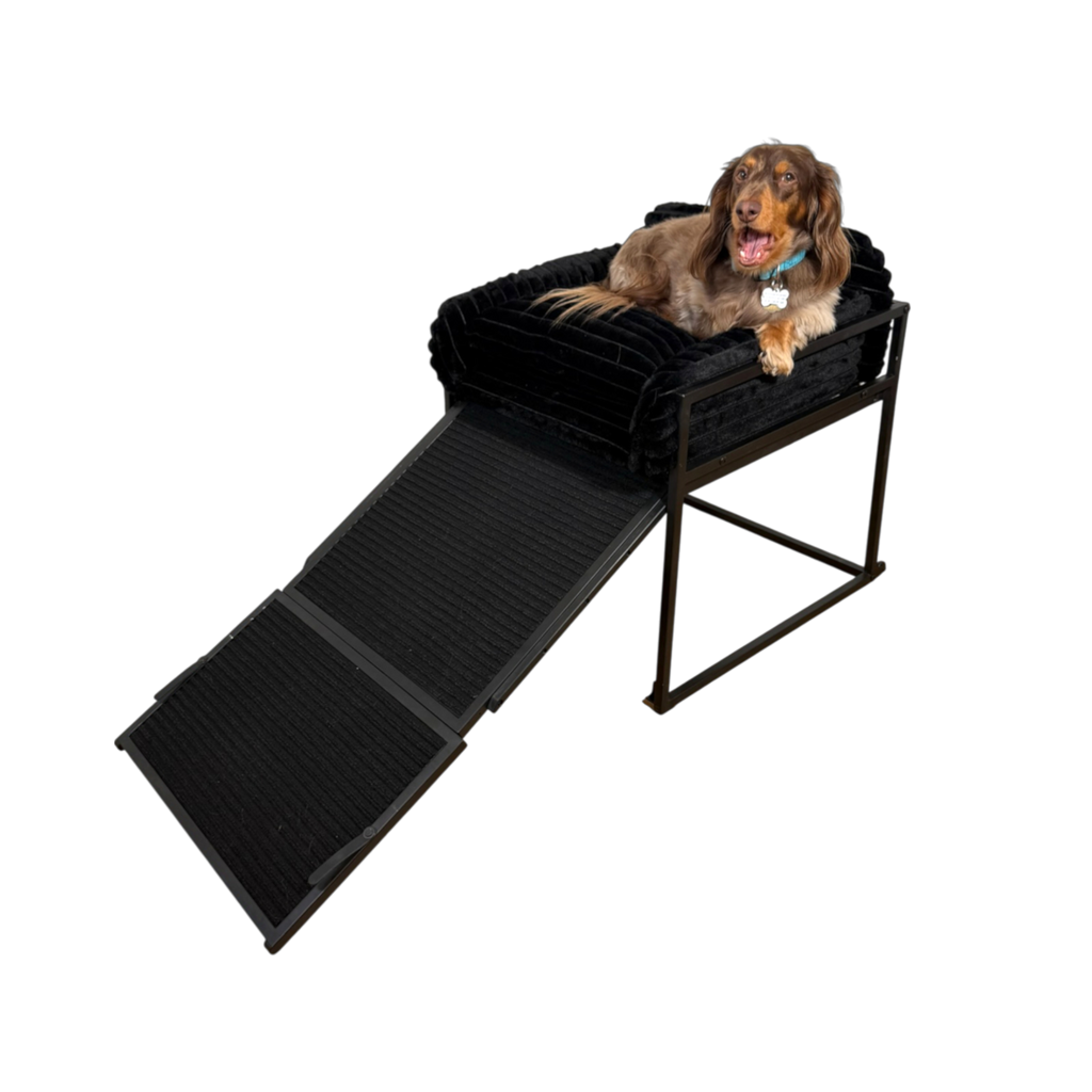 Elevated Pet Chair with Built-In Ramp – Cozy Dog Seat for Home, Office & Bedside
