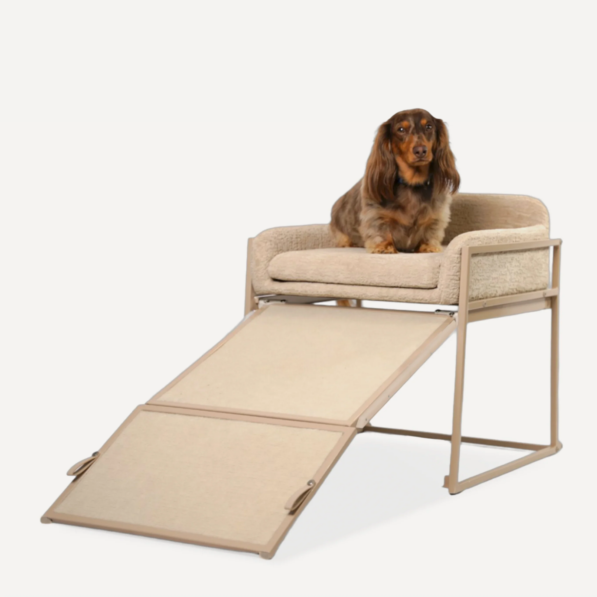 Elevated Pet Chair with Built-In Ramp – Cozy Dog Seat for Home, Office & Bedside