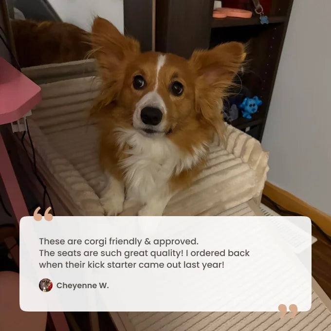Elevated Pet Chair with Built-In Ramp – Cozy Dog Seat for Home, Office & Bedside