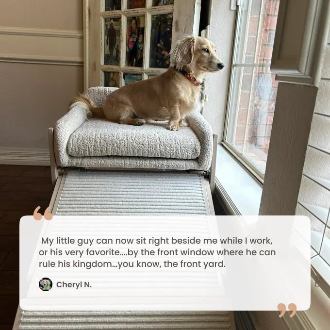 Elevated Pet Chair with Built-In Ramp – Cozy Dog Seat for Home, Office & Bedside