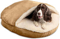 🏠 “Safe, Snug & Soothing — A Cave Made for Comfort!”