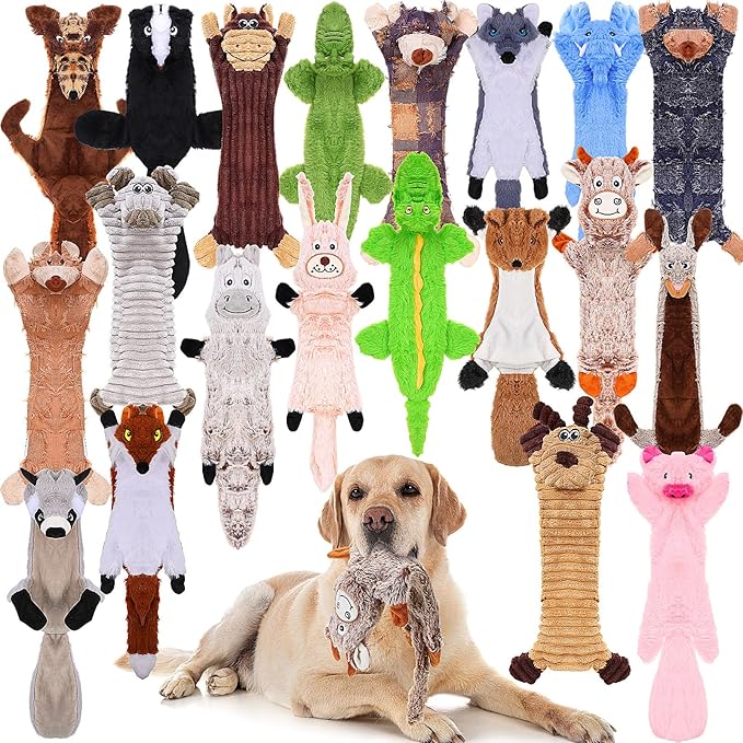 🎁 20-In-1 Dog Toy Set for All Sizes!