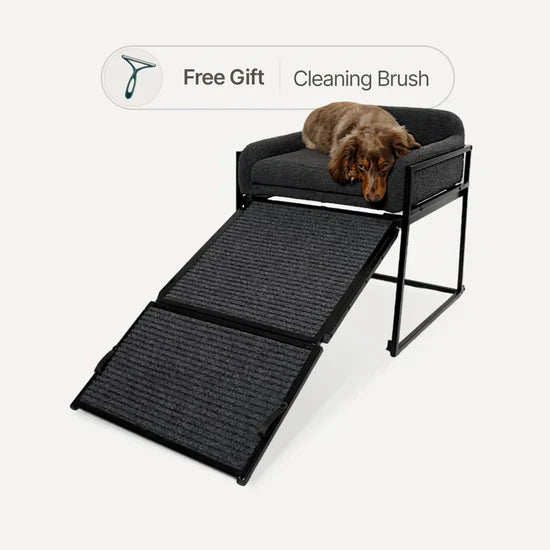 🛋️ “Comfort, Safety & Love — All in One Sofa Ramp!”(Limited Time Offer)